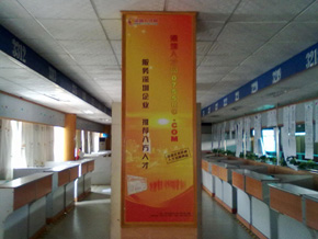 新天地人才市場招聘大廳-深圳人才網(www.m8cc.cn)