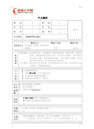 精致的個人簡歷表格