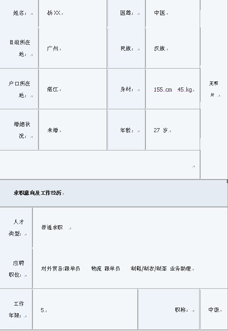 2011外語專業中文簡歷表格