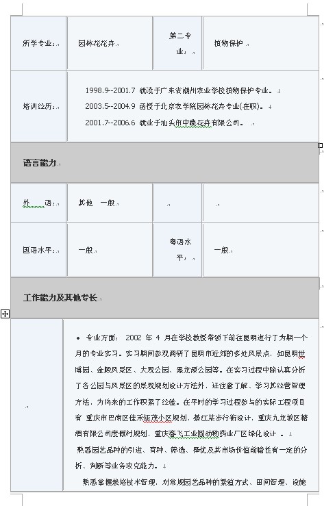 潔凈爽朗的最新簡歷表格樣本