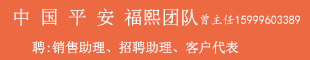 中國平安福熙團隊 